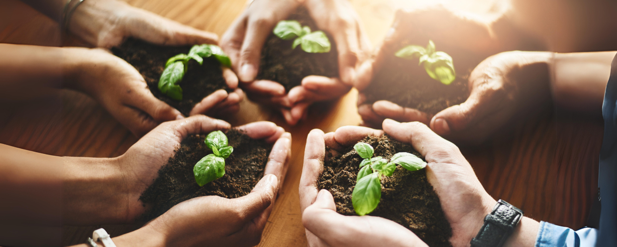 What is the concept of sustainability?