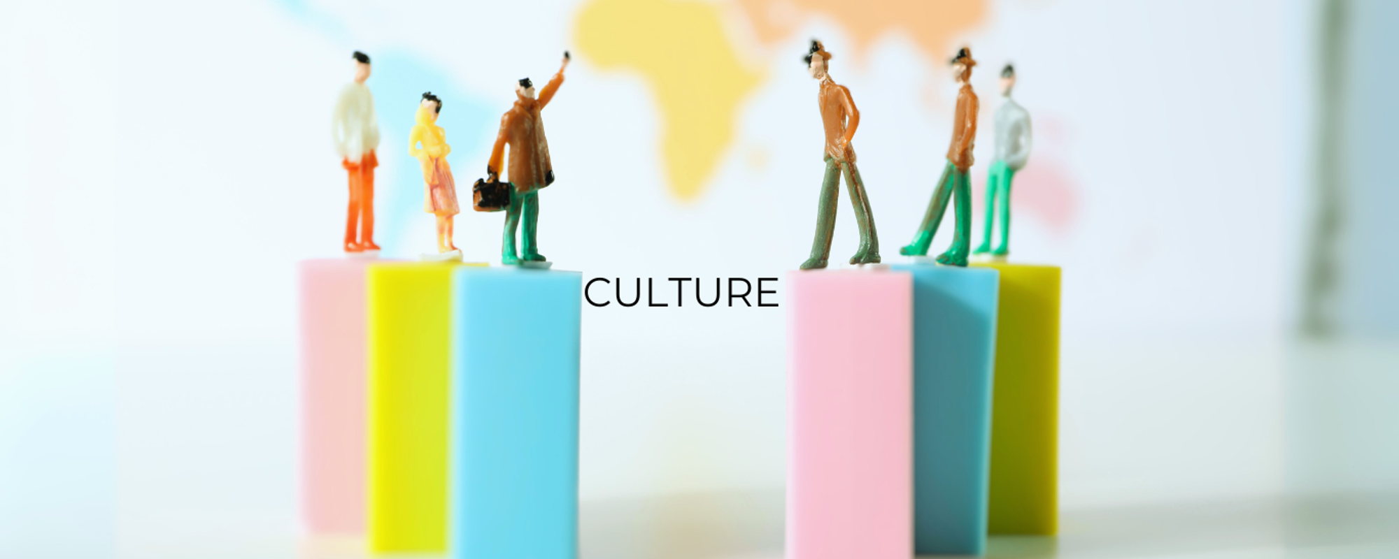 What is the role of organisational culture in business?