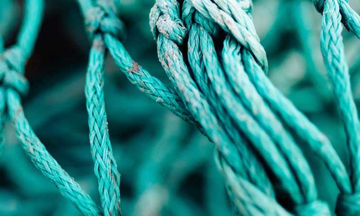 The Power of Pillar Based Marketing - an organic approach to SEO