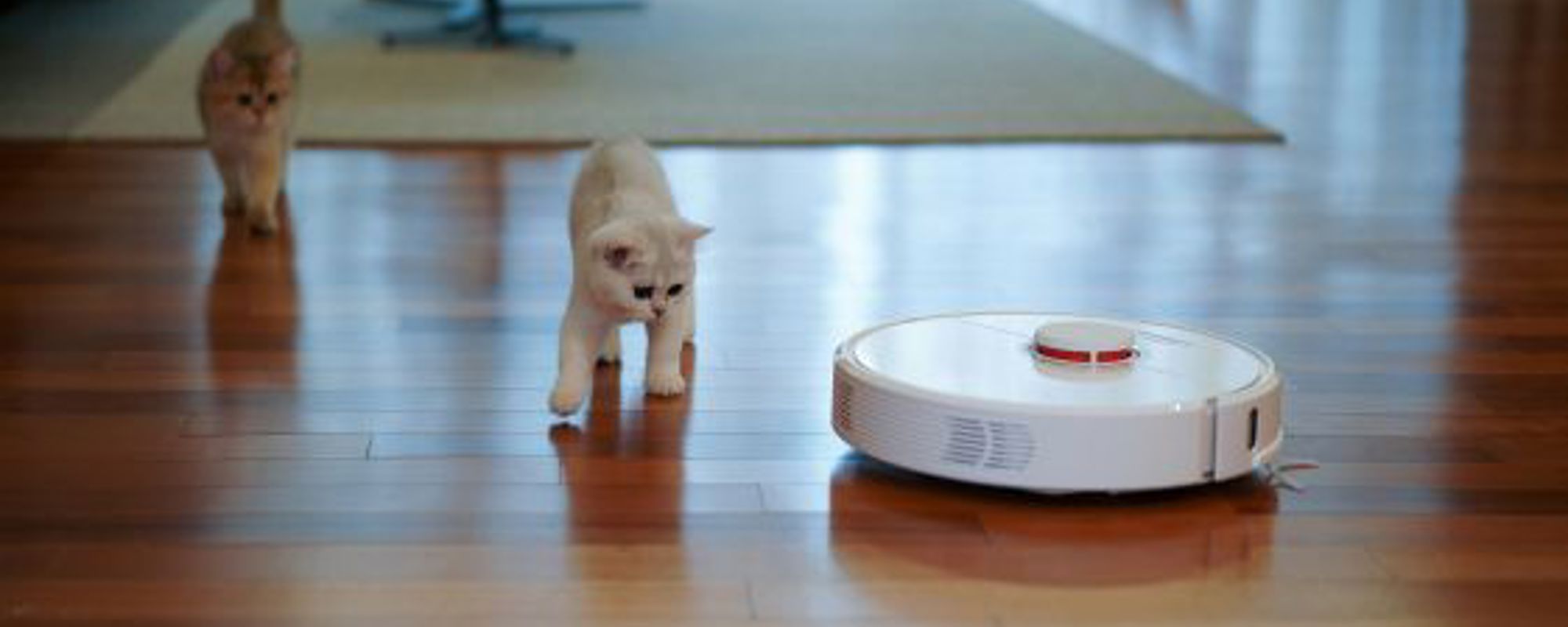 2026: The year workplace culture finally takes centre stage #3