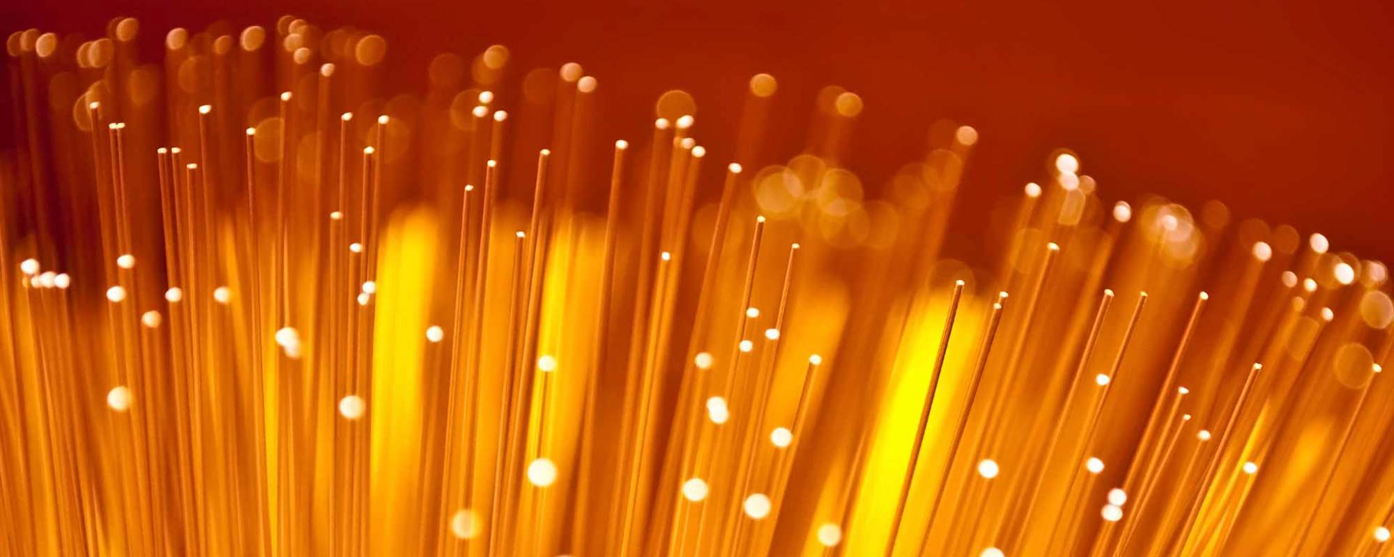 Finding the next generation of innovators