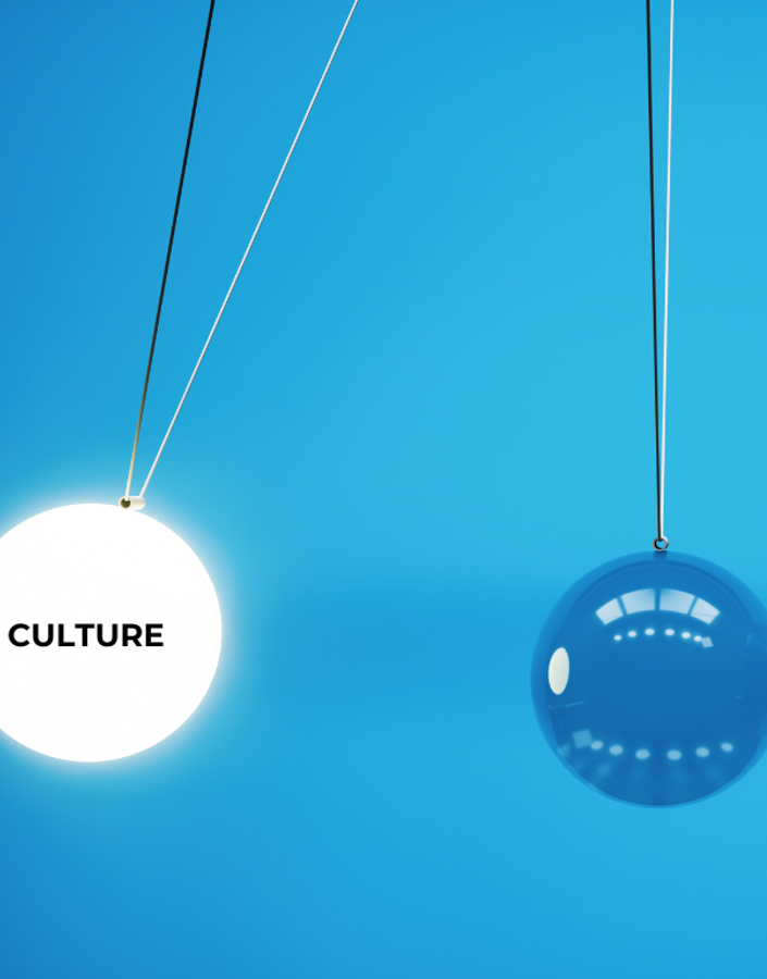 How is organisational culture formed and what impact does it have?