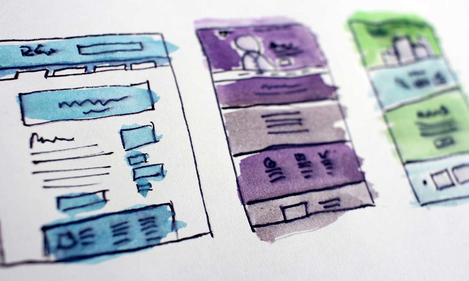 Website Design & Development