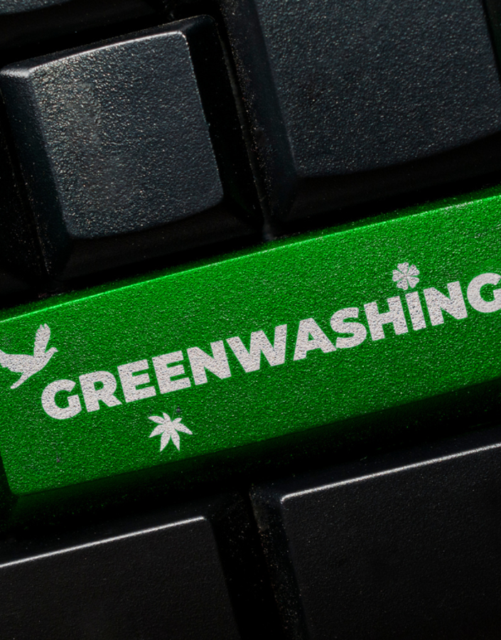 How are companies affected by greenwashing?