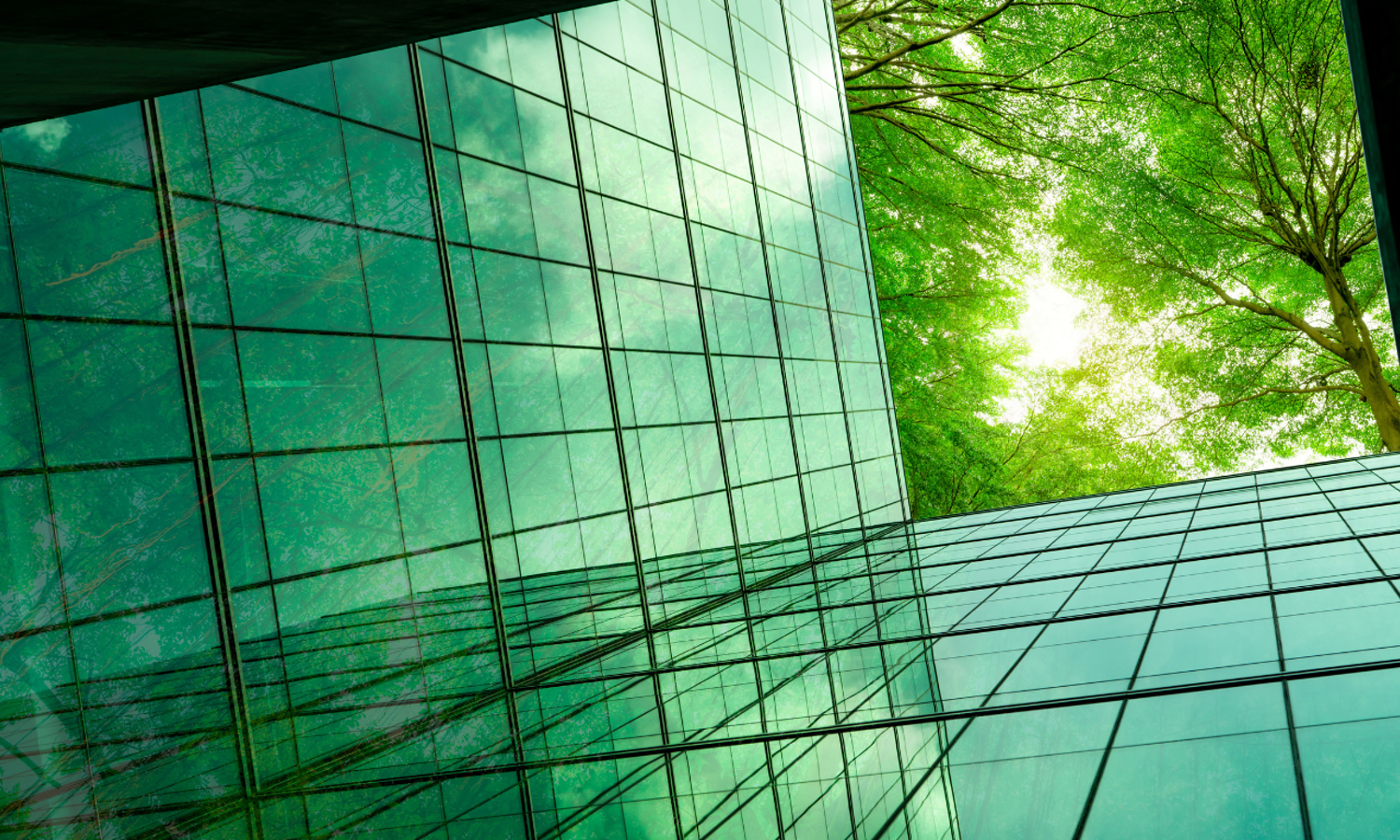 What is corporate sustainability?