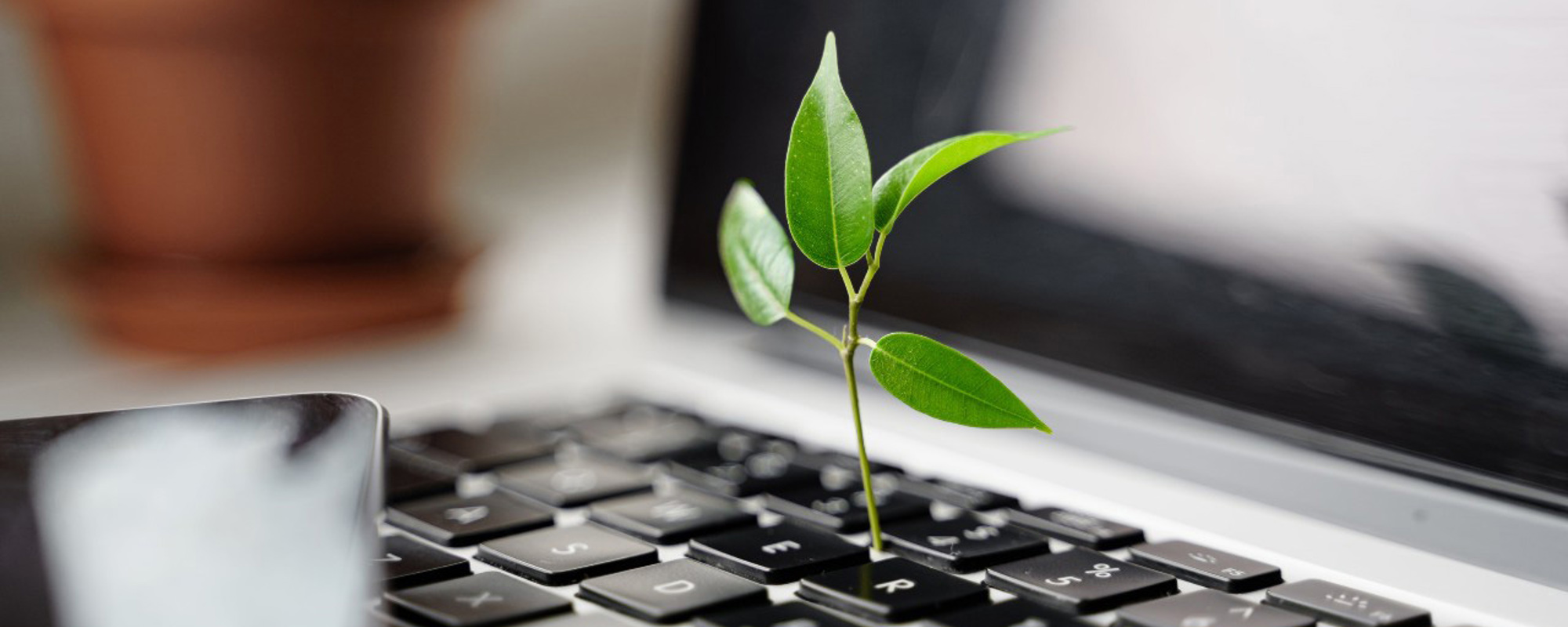 How Sustainability Is Shaping Pharmacy Distribution Services In Malaysia - Prioocare Why Is Sustainability Important In The Workplace? - Brand Experiences