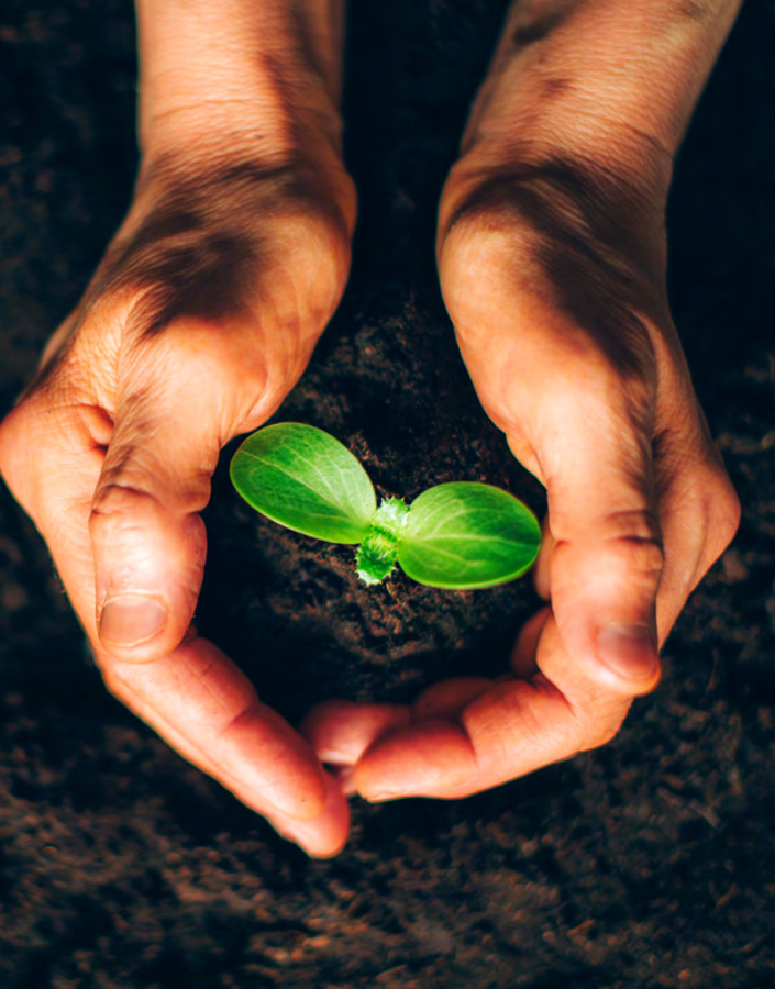 UN Sustainable Development Goals