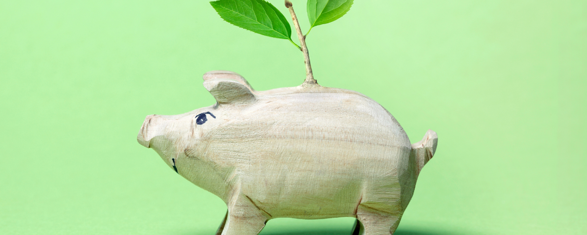 Circular Economy: closing the loop for sustainable business practices - part 2